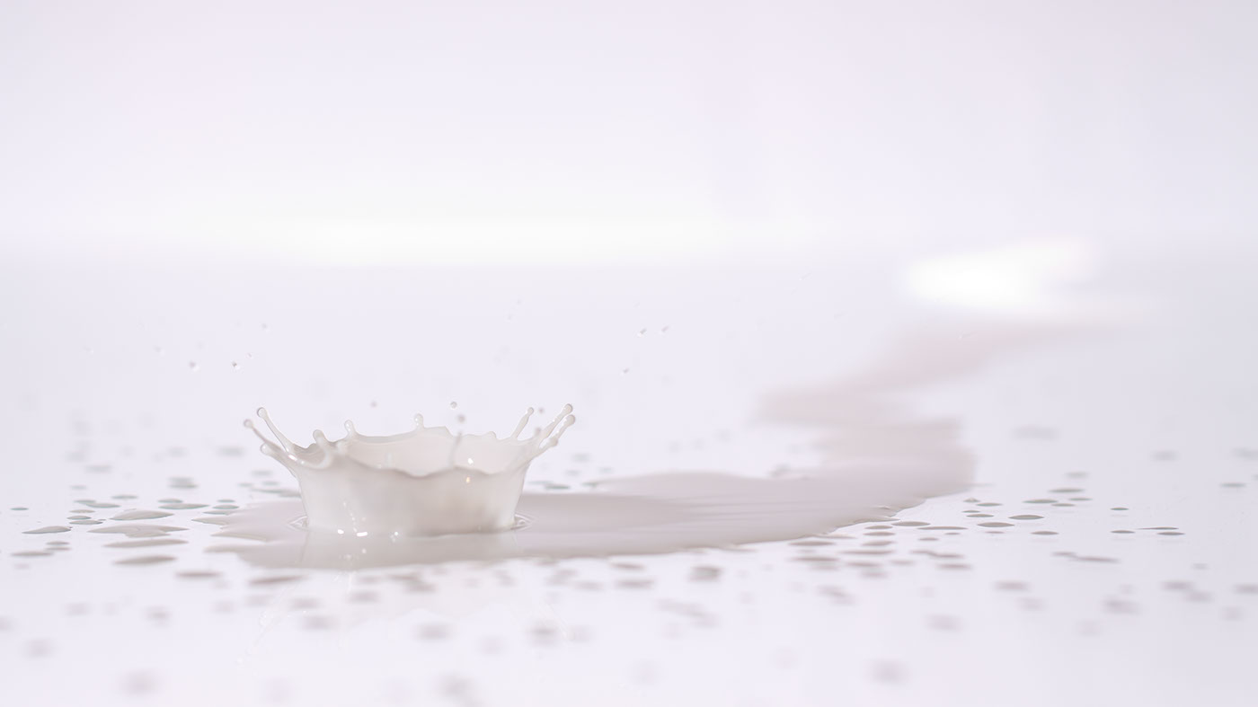 High Key Milk drops on a white background
