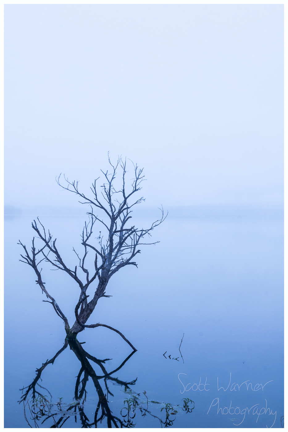 serene moogerah morning